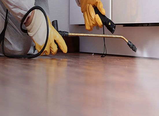 Atak Çevre Haşere Kontrol Servisi