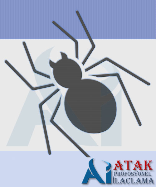 Ne Zaman �la�lama Yap�lmal�